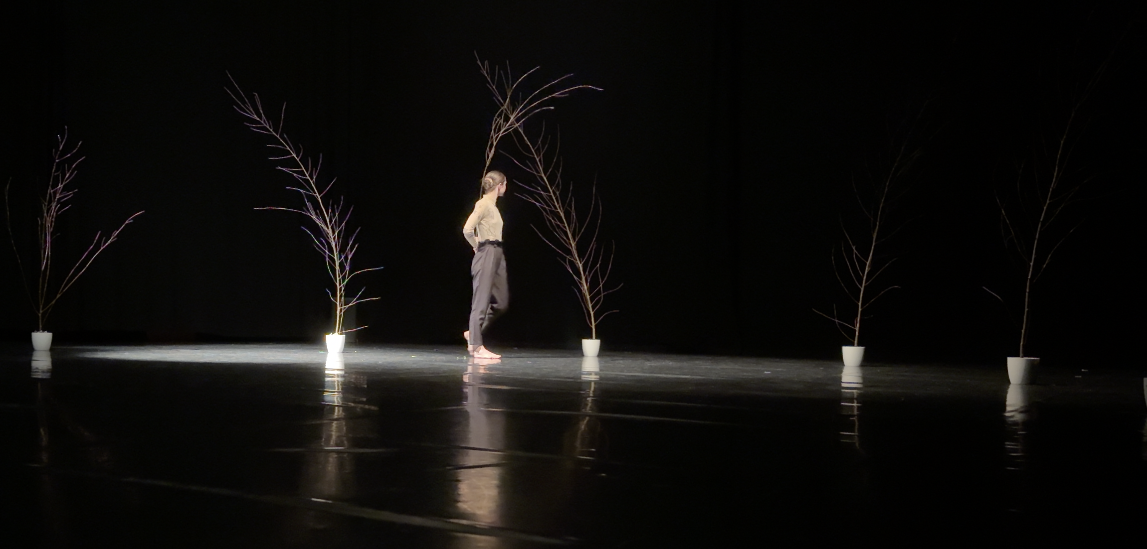 ZID Theater